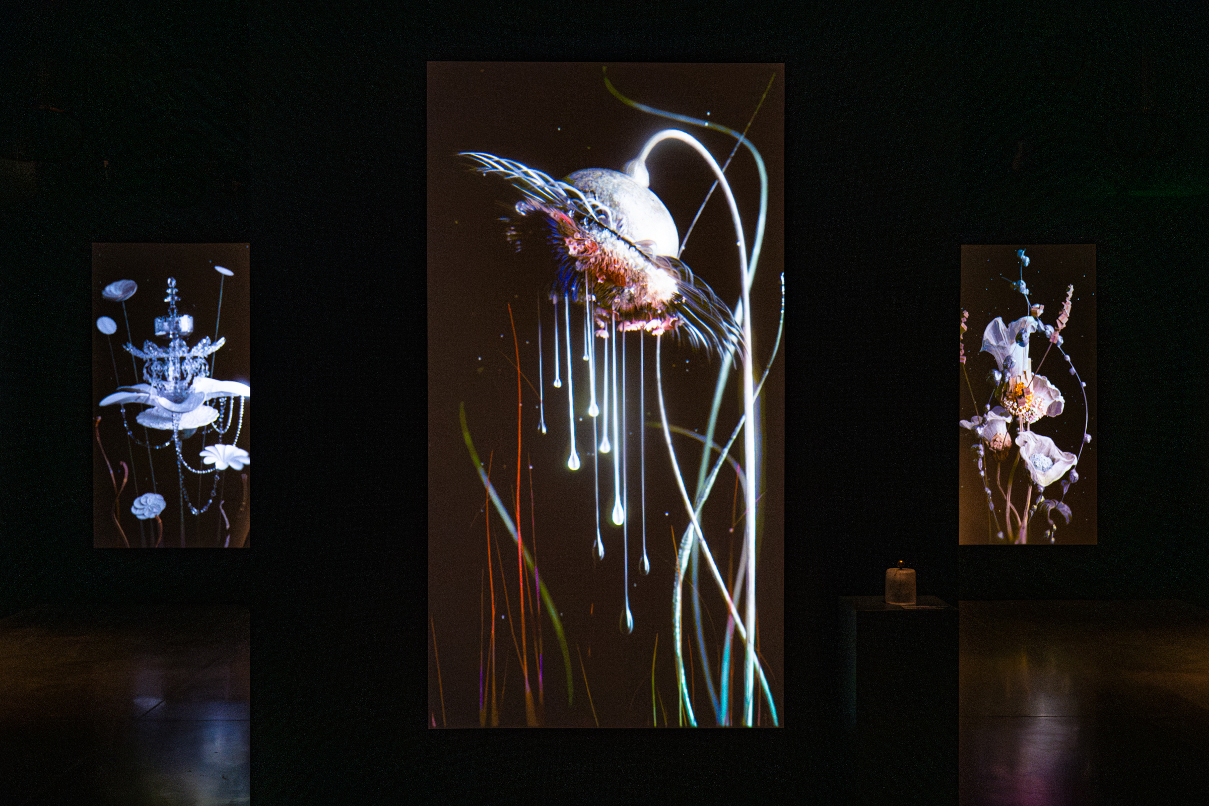 20241108 fischersund 001