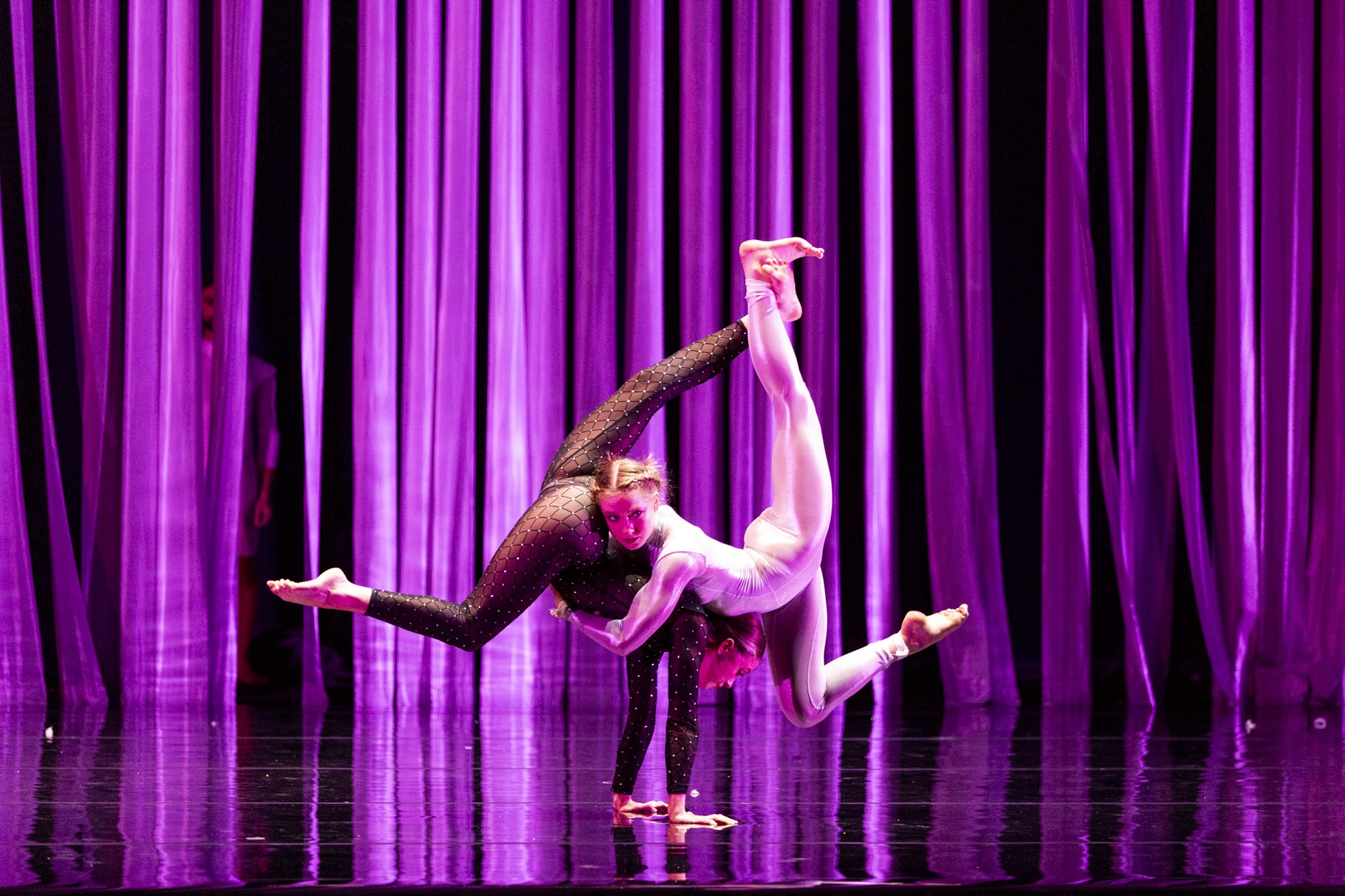 Circa Duck Pond photo Pia Johnson 5