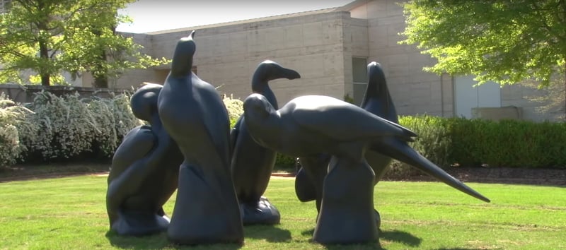 Lost Birds2