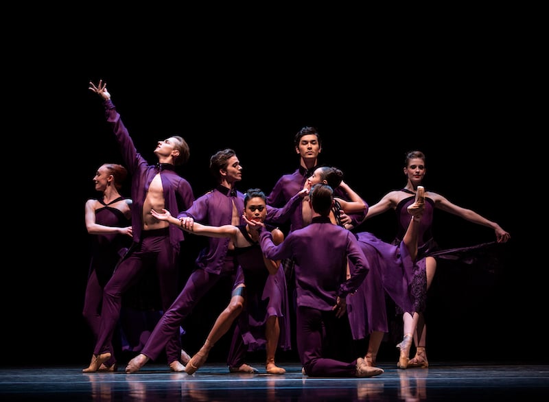 Bacchus group PNB Dir Choice19 0110