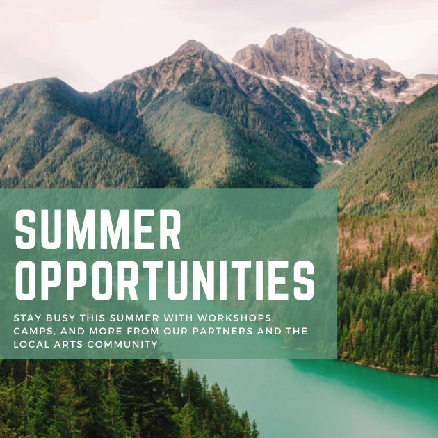 Summer Opportunities graphic 1