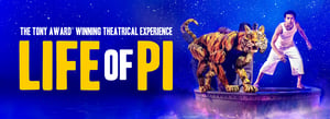 2025 Pi 1180x430 1