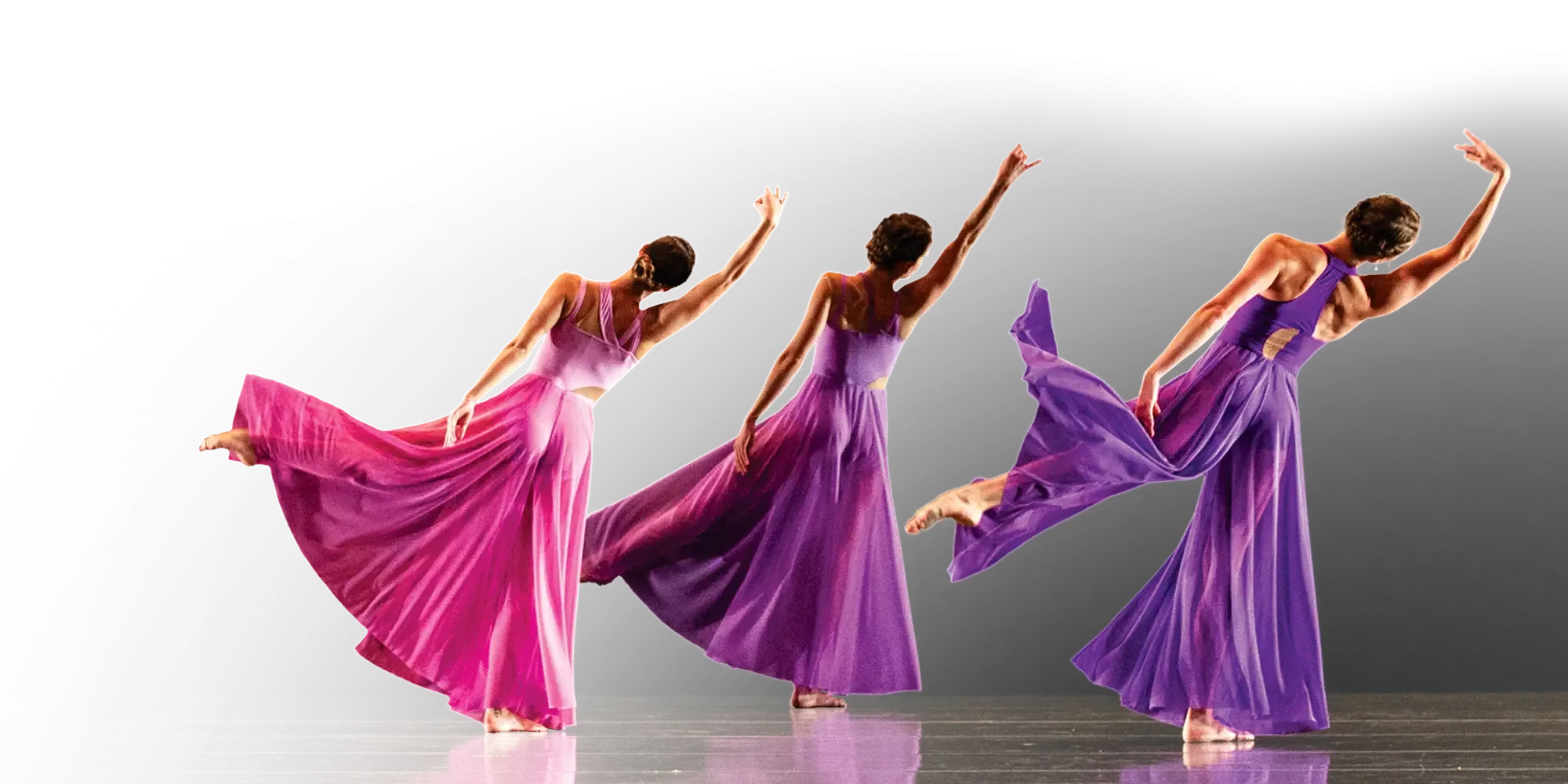 27 pnb directors choice header img cutouts 2