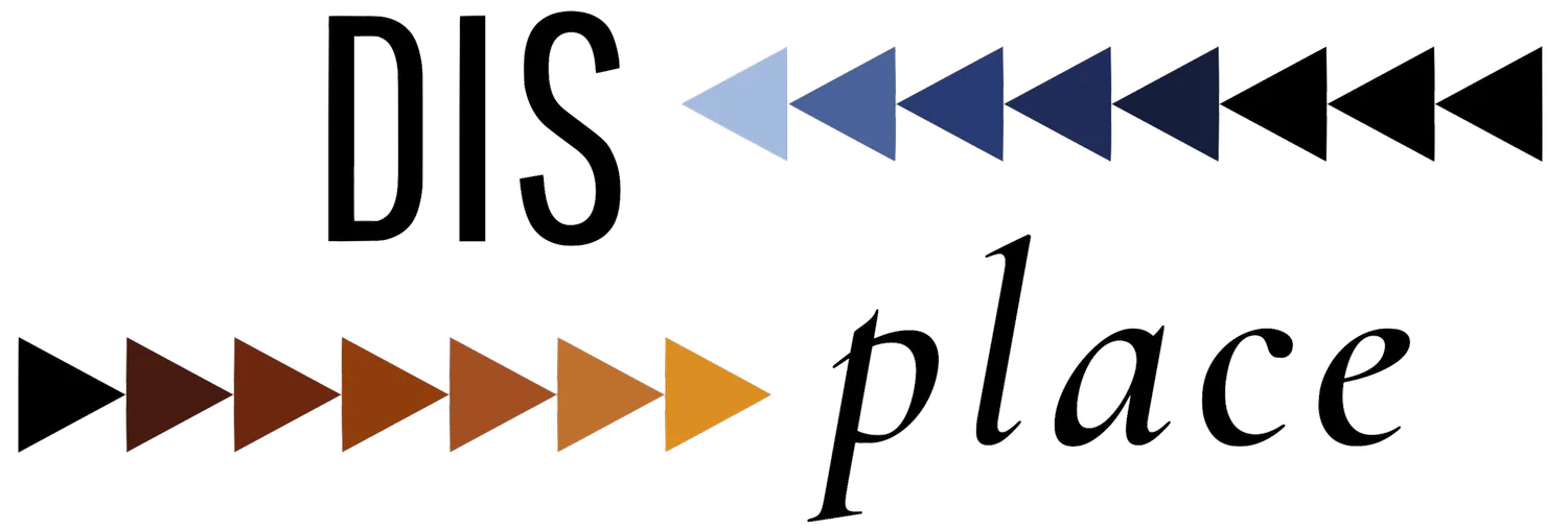 DI Splace logo COLOR PNG