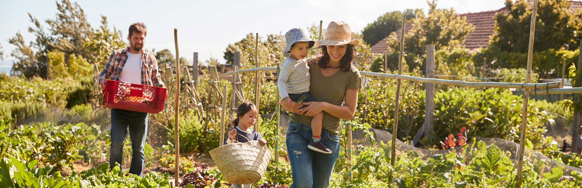 Community garden