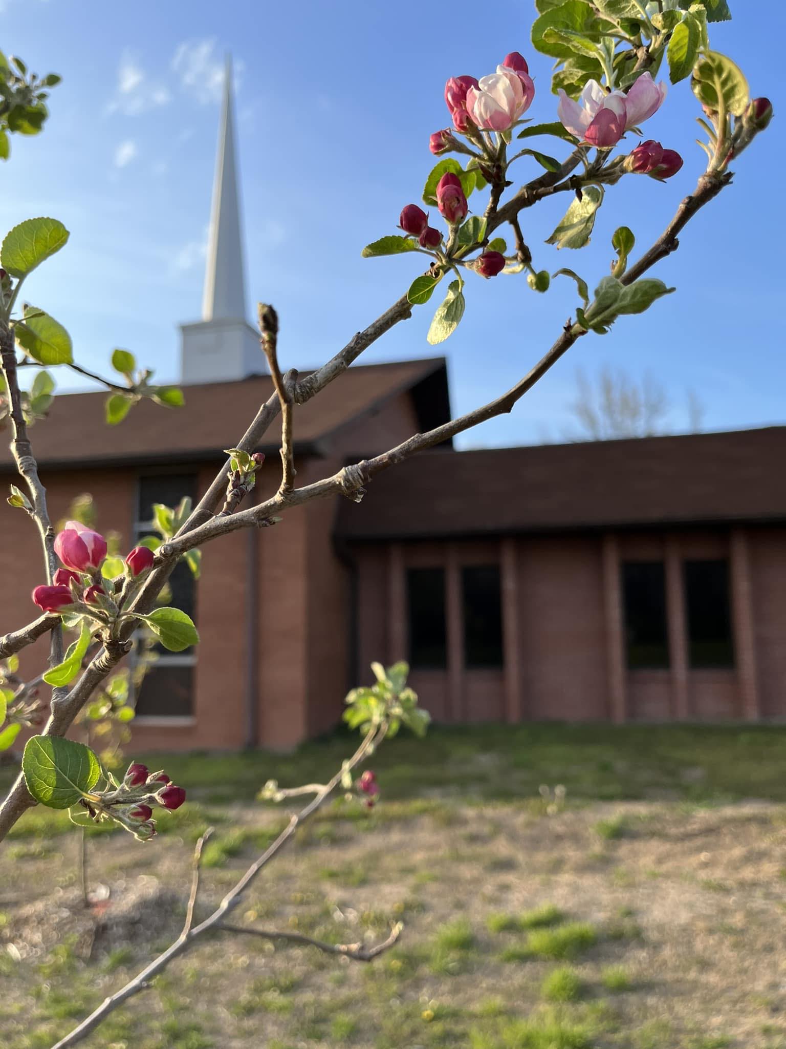 VHBC