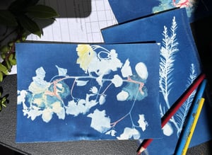 02 11 2024 CL Persian Cyanotypes 3 scaled