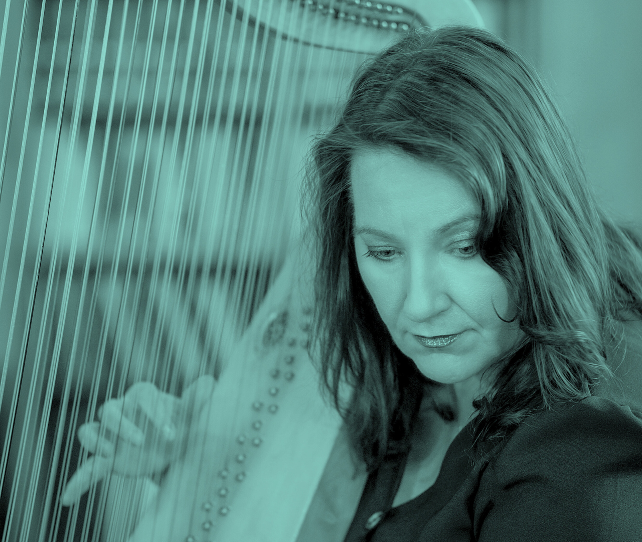 392f5d 017b5dbb1d4c40b480a6260513f4c0ffmv2