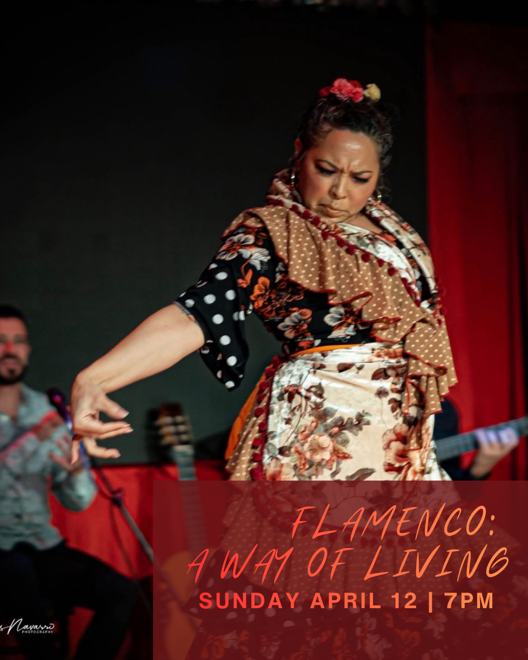 Flamenco Posts 2