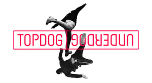 PPH 2024 2025 website assets 2230 x 12203 2230 x 1220