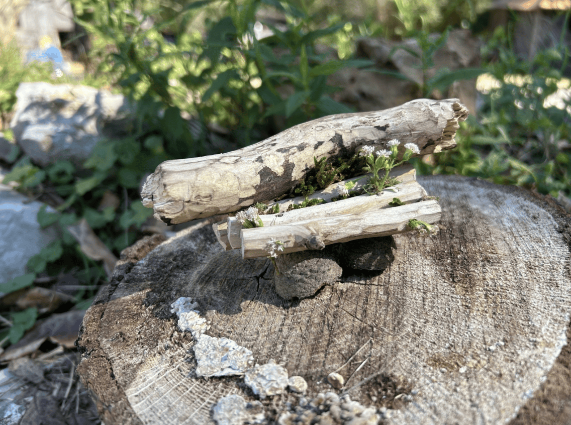 Screenshot 2026 02 18 at 1 16 09 PM