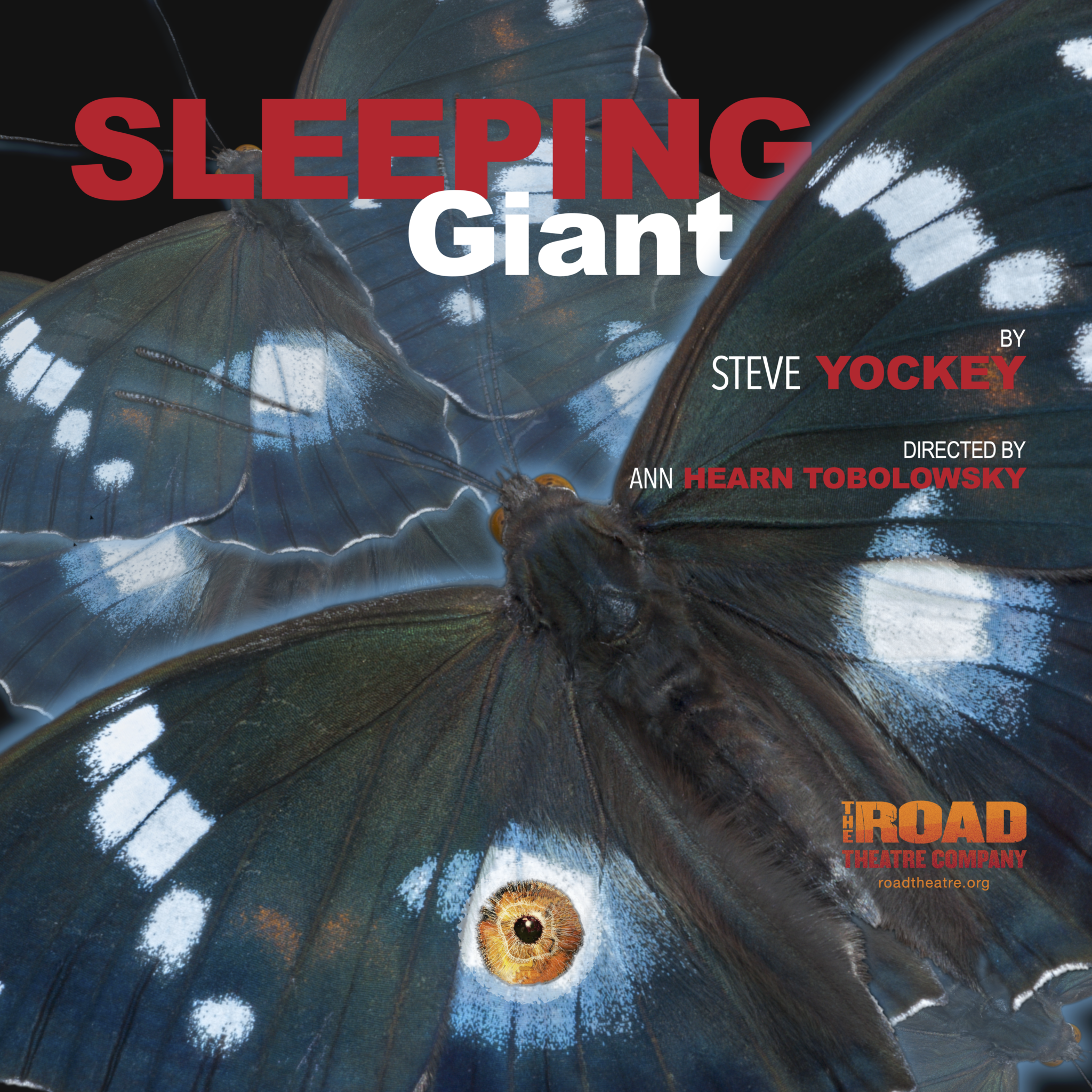 Sleeping Giant FB Post 2048x2048