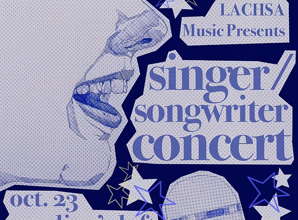 Singersongwriter concert