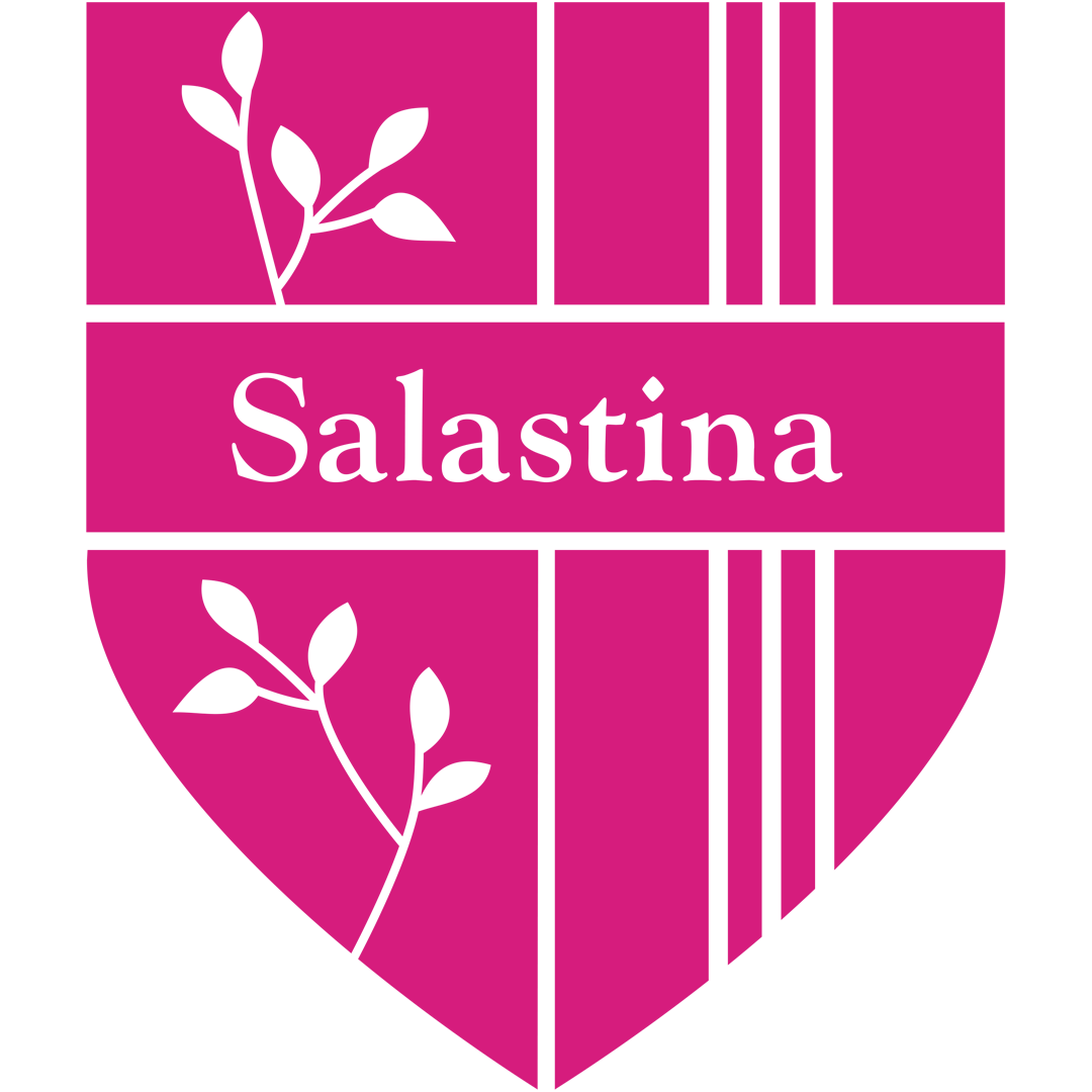 Salastina Logo Magenta