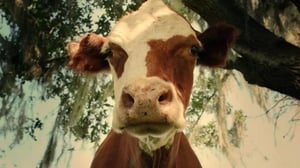 1710349076601681323a213159584fc3f jpg