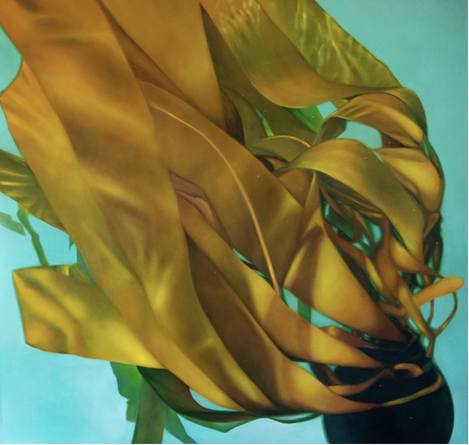 48 AB7272 ECA8 4 D0 C 890 E DB718043027 C