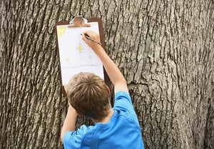 Boy tree