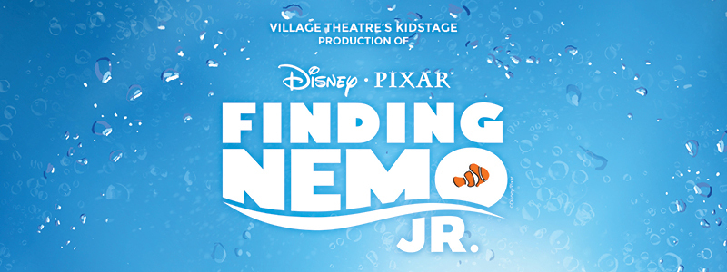 Nemo Web Landing Page 800x300