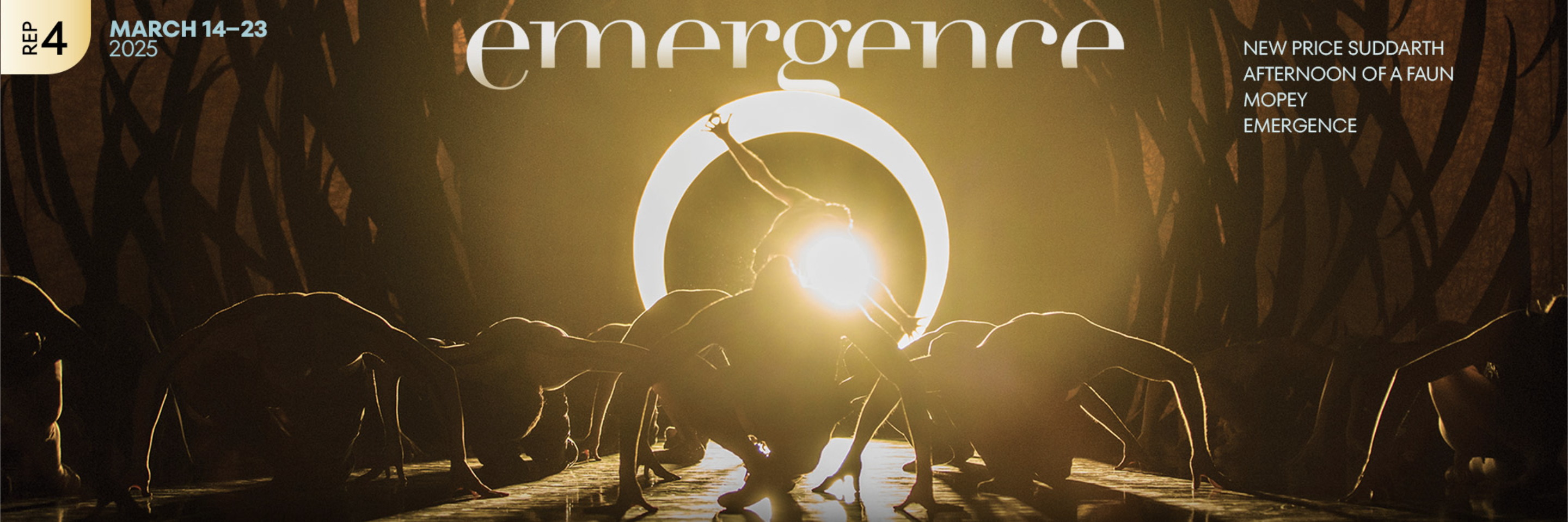 Screenshot 2025 02 25 at 4 23 39 PM