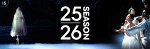 Screenshot 2025 08 11 at 4 23 46 PM
