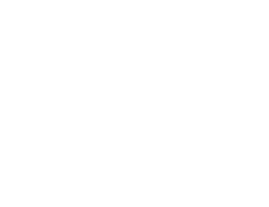 Summer Nights logoblack
