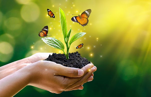 Earth Fest image 2024 website