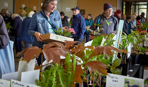 NPA plant sale