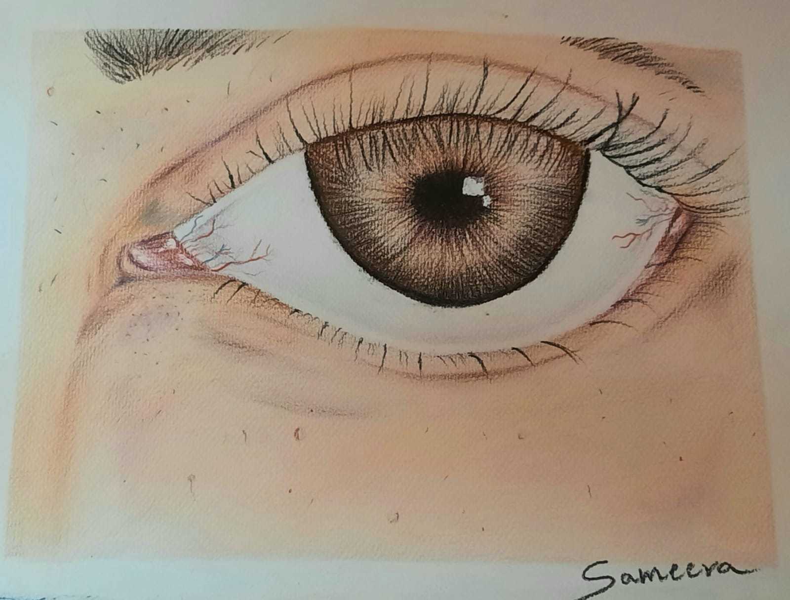Art 5 