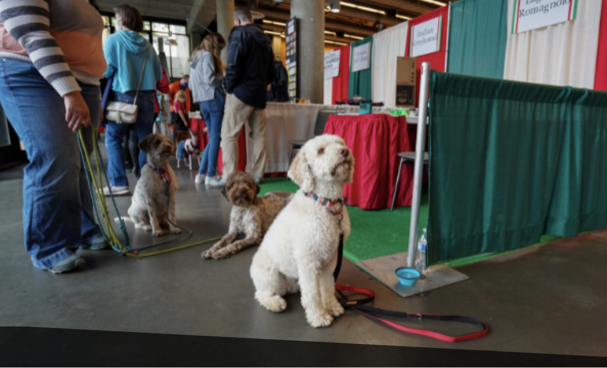 Screenshot 2025 06 10 at 1 41 04 PM