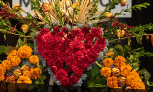 Screenshot 2025 06 10 at 2 02 01 PM