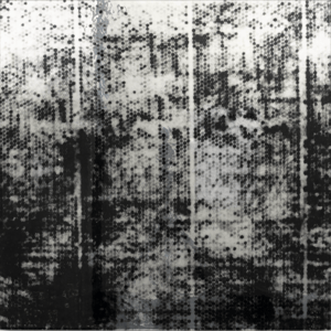 Screenshot 2025 06 29 at 8 12 34 PM