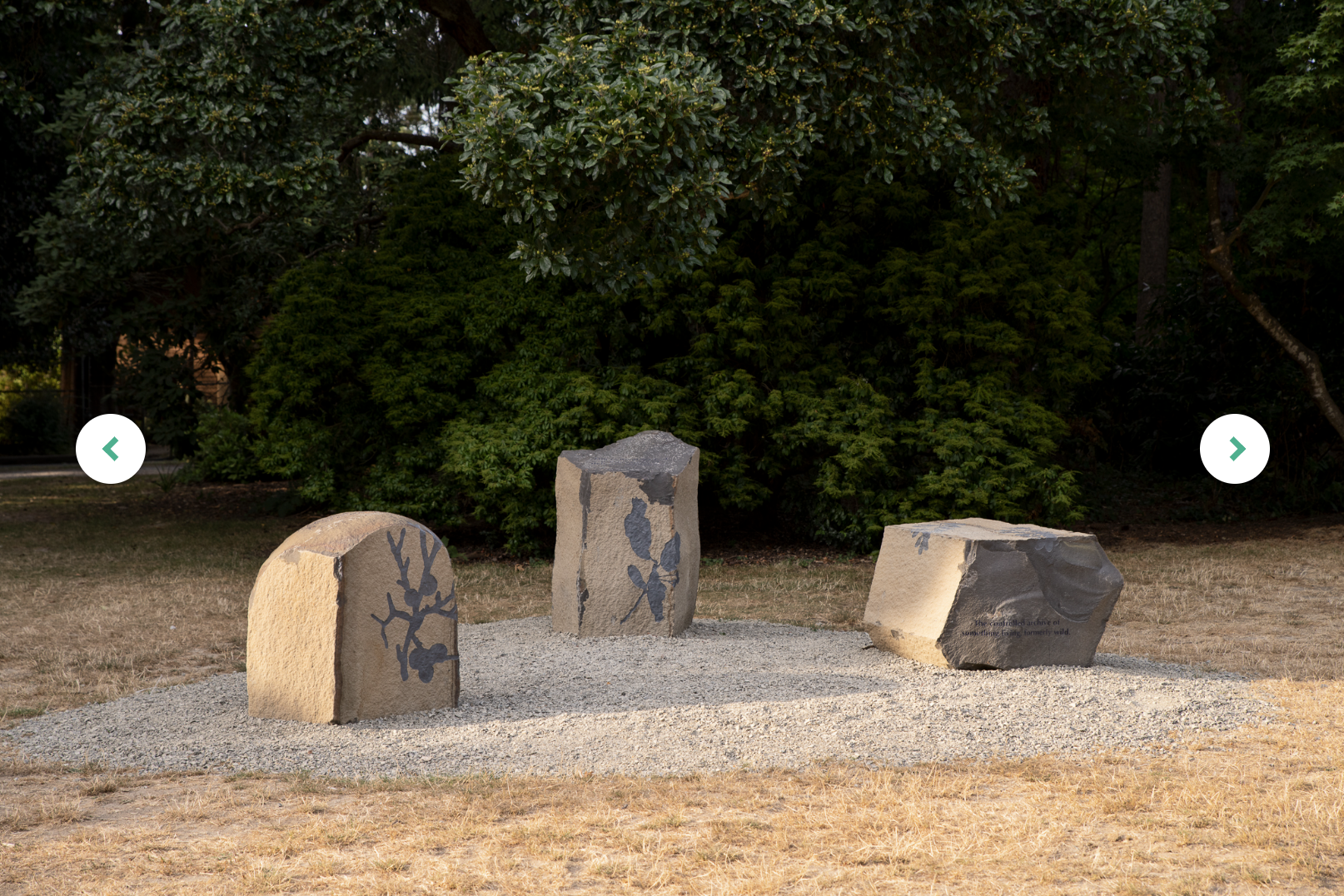 Screenshot 2025 06 29 at 8 16 25 PM