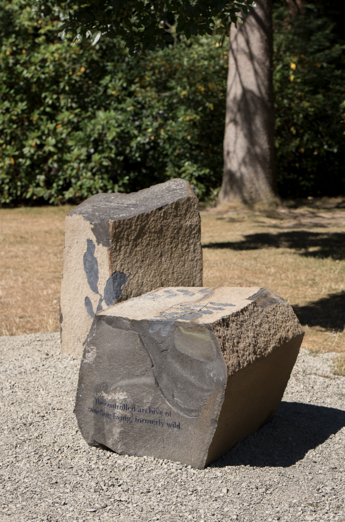 Screenshot 2025 06 29 at 8 17 14 PM