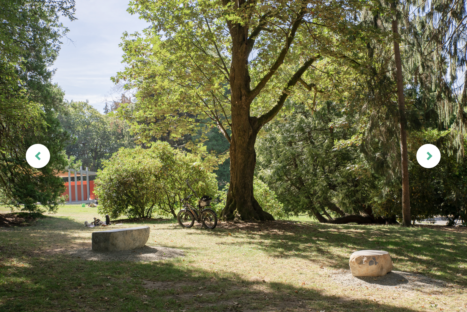 Screenshot 2025 06 29 at 8 17 21 PM