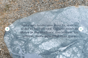 Screenshot 2025 06 29 at 8 17 37 PM