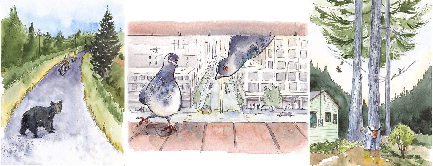 B0ead430 e94b 4154 92bf 29ed2cf4fcc5 1550x596