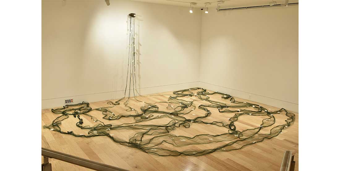 Catch release gallery 1100x555