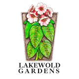 Color Logo with Text 7