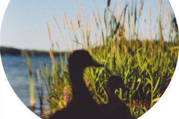 Premiere: Lehult co-founder Johan Kaseta goes to ‘The Erefora Land’