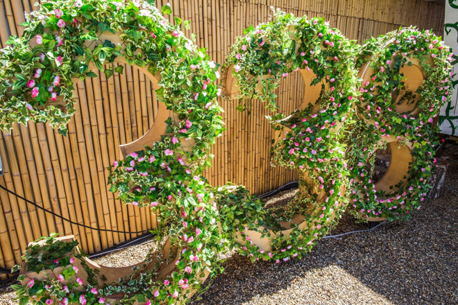 Studio 338 is reopening its Garden area