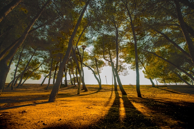 Ricardo Villalobos and Margaret Dygas are playing Albania’s new festival UNUM