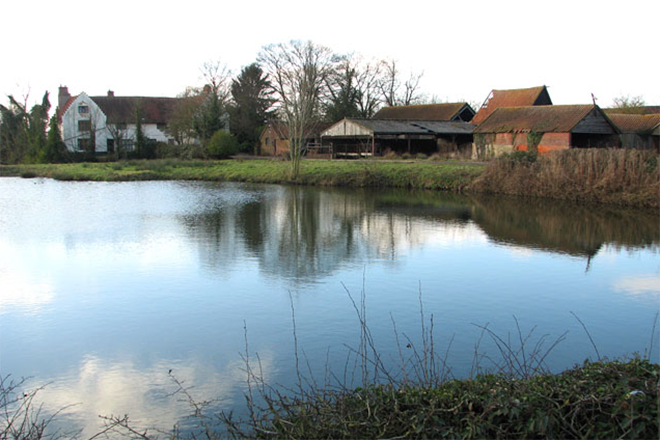 Police shut down huge illegal rave with soundsystem "up to the ceiling" at a Norfolk abattoir