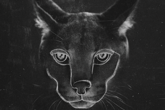 Disclosure