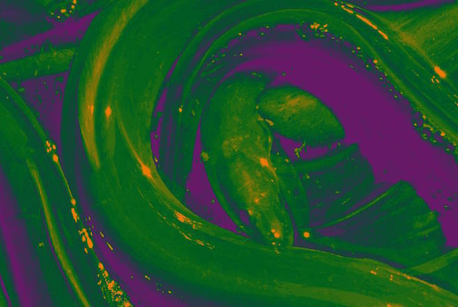 ​New label Deep Sea Frequency sets sail for launch