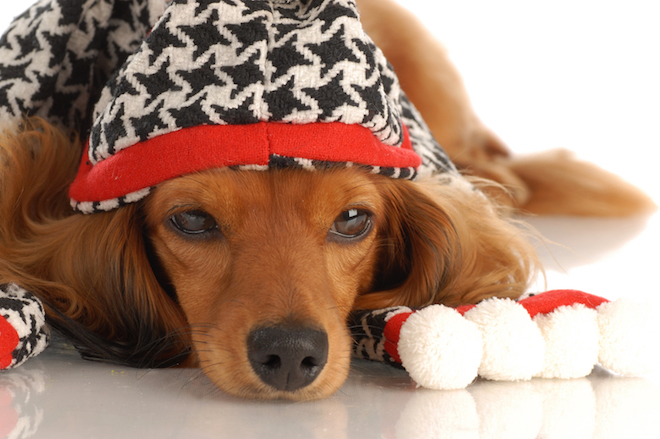Spotify playlist: Escape your weekend comedown with 50 chilled tracks
