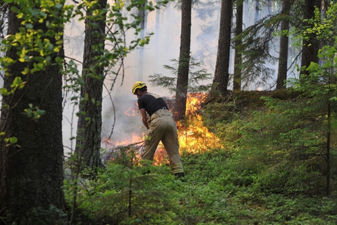 Her Damit Festival near Berlin postponed due to "high risk of forest fires"