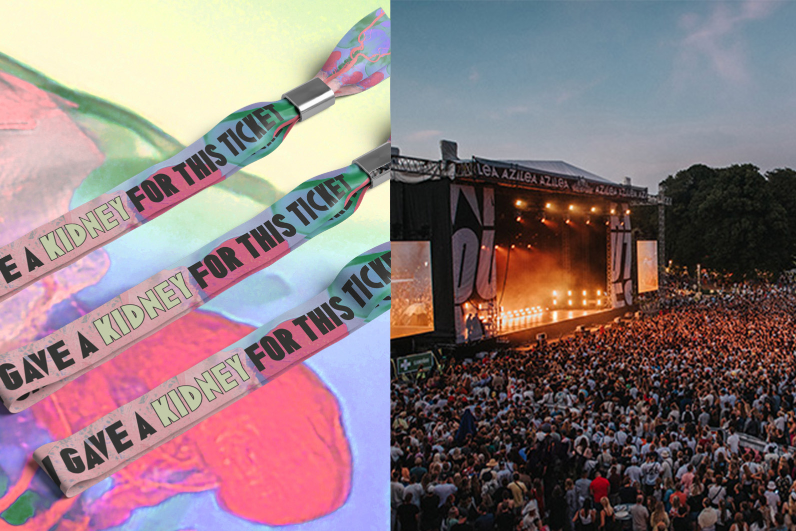 Swedish festival gives fans chance to "give their kidney" for tickets
