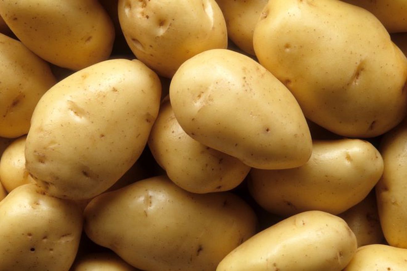 Man on five-day ecstasy binge was caught filling hotel bath with potatoes