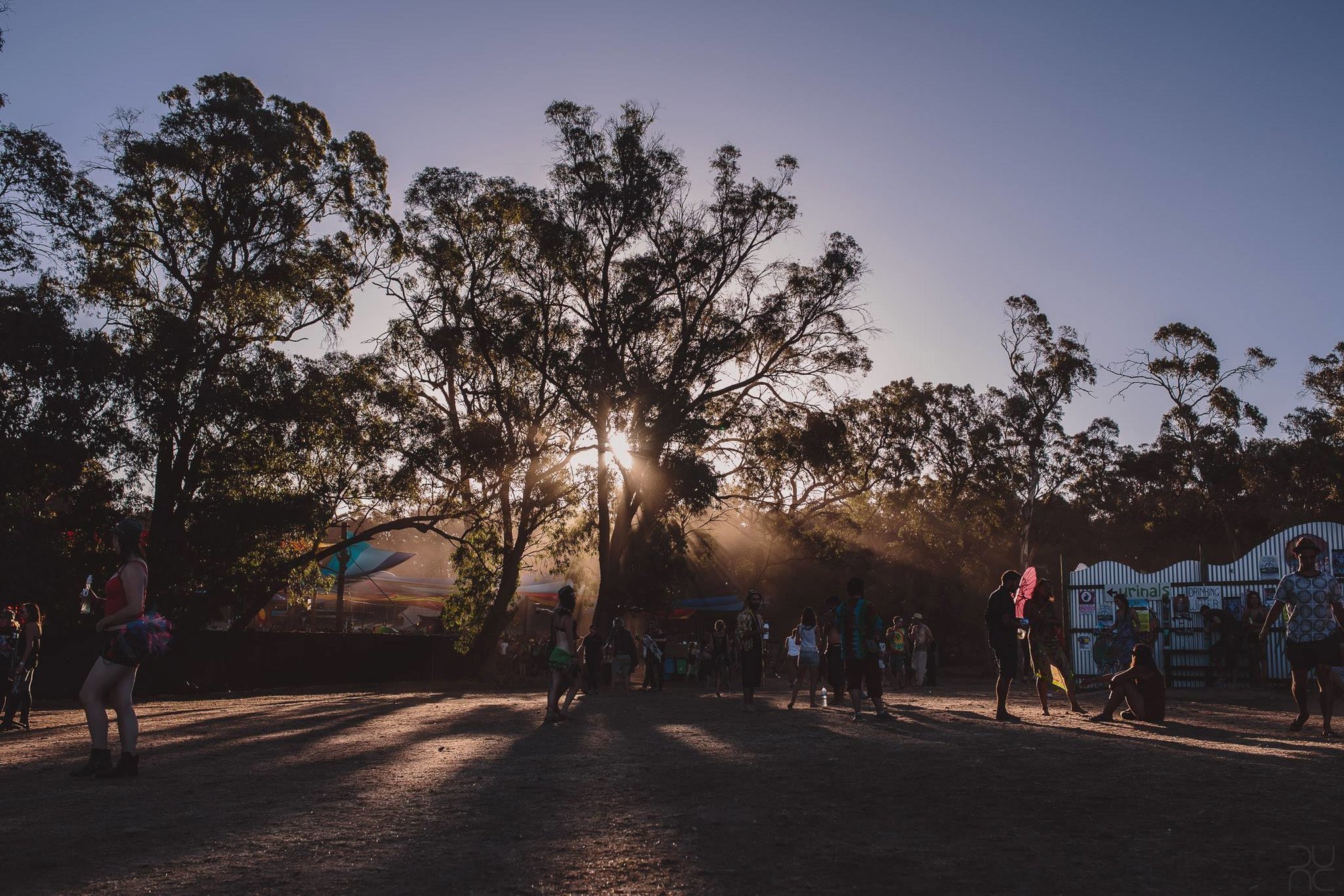 Victorian police could get new powers to search festival-goers