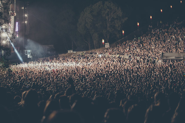 Splendour In The Grass shares sniffer dog advice